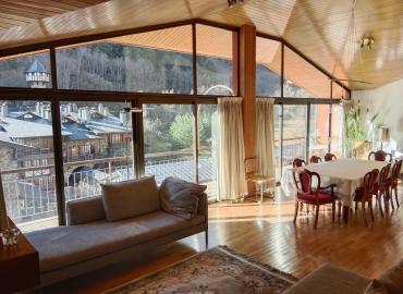Massive, light filled Dining Room